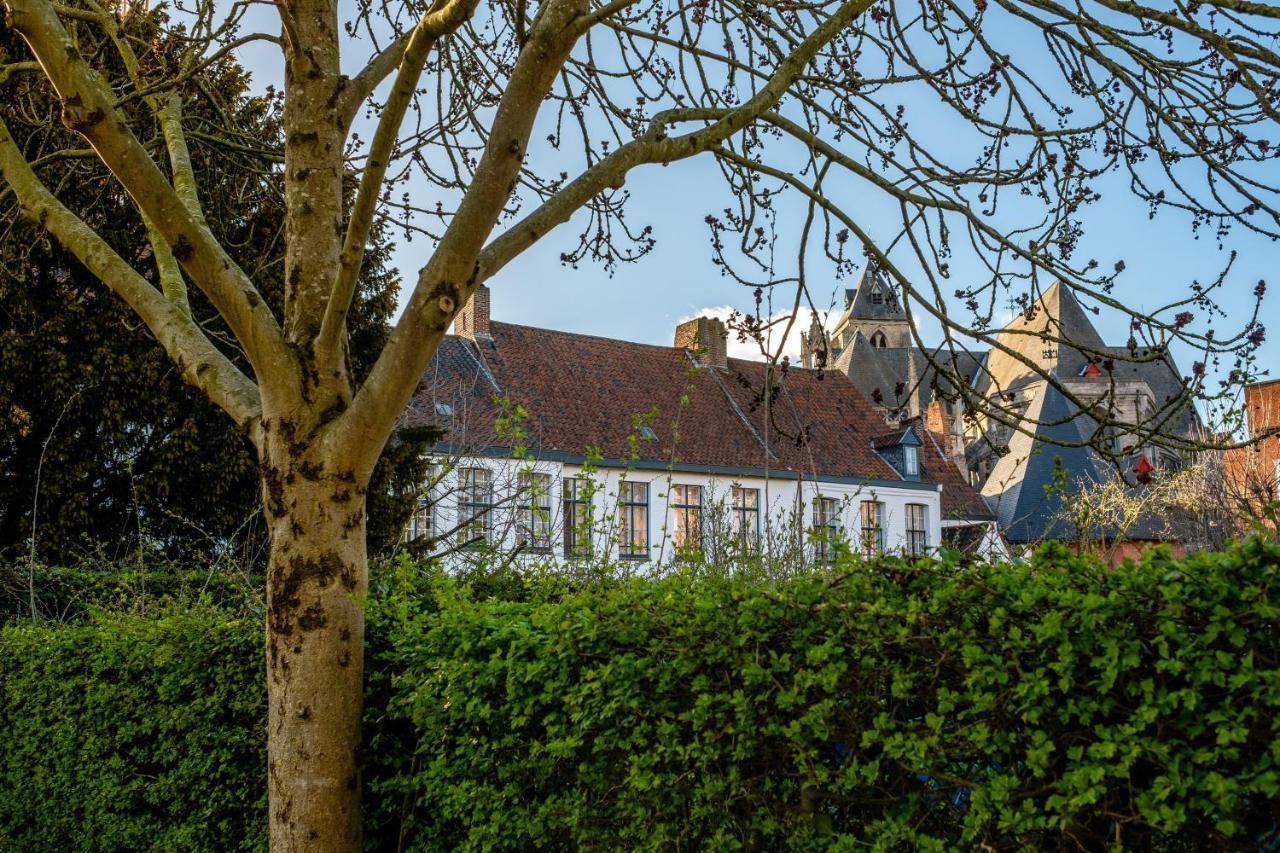 B&B Ar'Home Kortrijk Zewnętrze zdjęcie